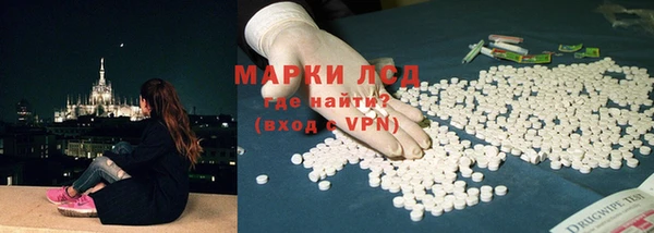индика Аркадак