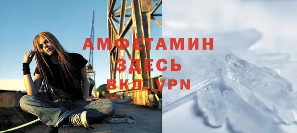 индика Аркадак