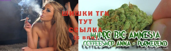 индика Аркадак