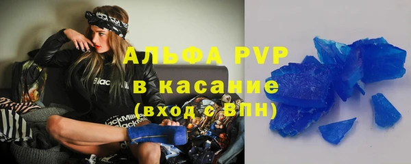 индика Аркадак
