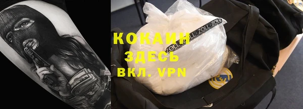 индика Аркадак