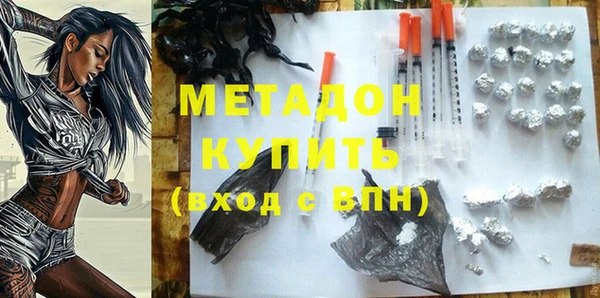 индика Аркадак