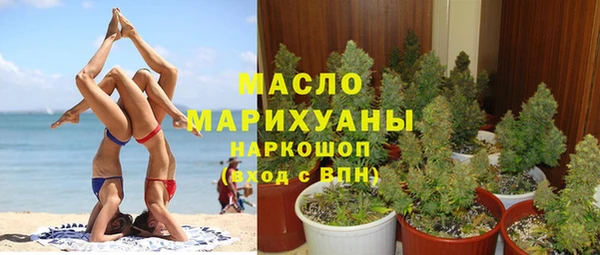 индика Аркадак
