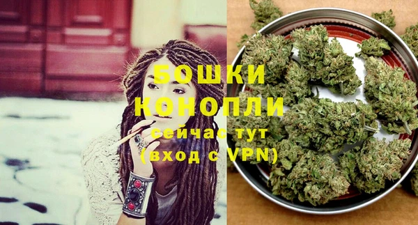 индика Аркадак